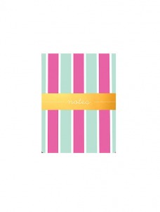 Aqua Stripes - Pocket Notes