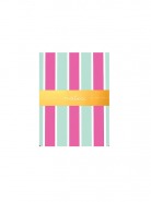 Aqua Stripes - Pocket Notes